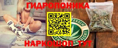 ГАЛЛЮЦИНОГЕННЫЕ ГРИБЫ Камышлов