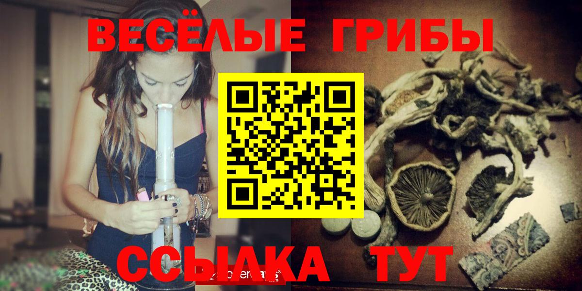 Псилоцибиновые грибы мицелий Павловский Посад