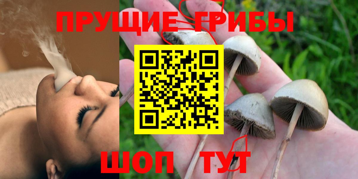 Галлюциногенные грибы MAGIC MUSHROOMS Павловский Посад