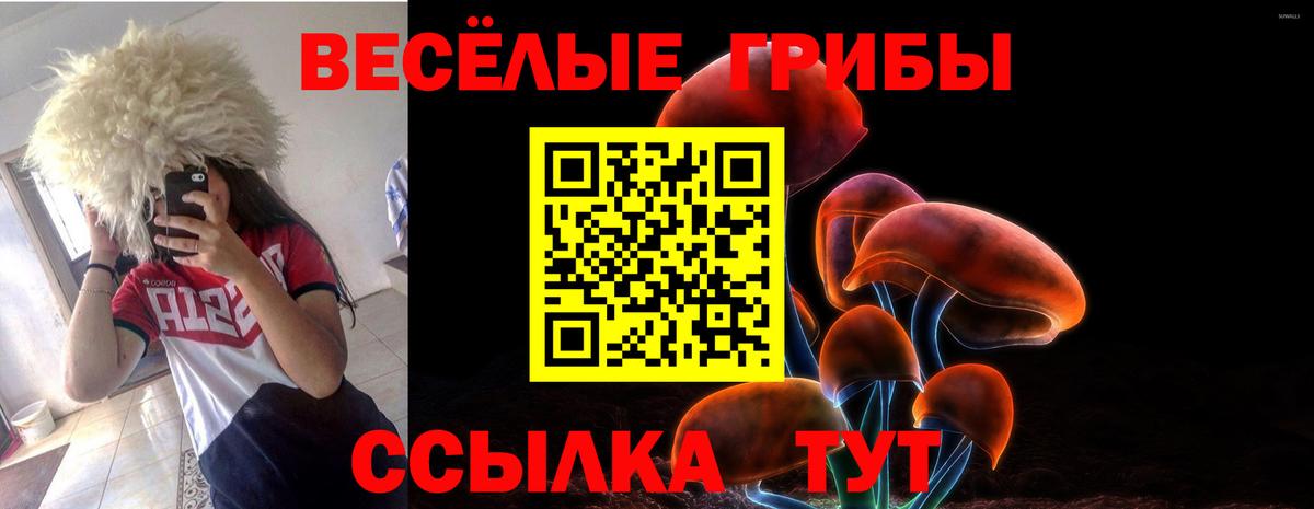 Псилоцибиновые грибы Psilocybe  Вход с VPN  Павловский Посад 